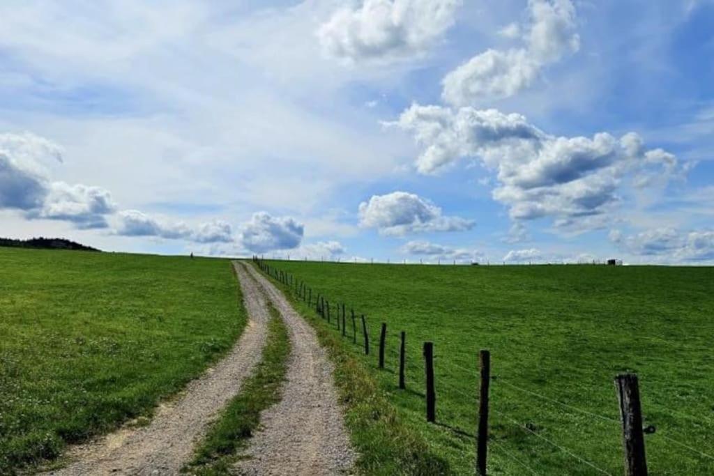 Corps De Ferme Traditionnel Lembach Exteriér fotografie