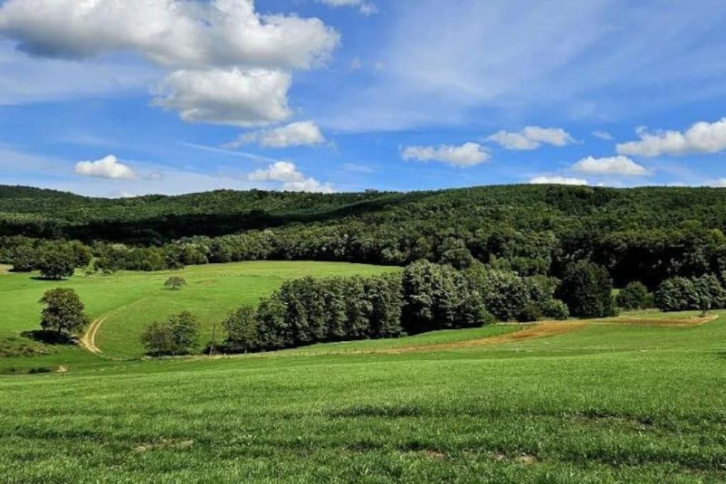Corps De Ferme Traditionnel Lembach Exteriér fotografie