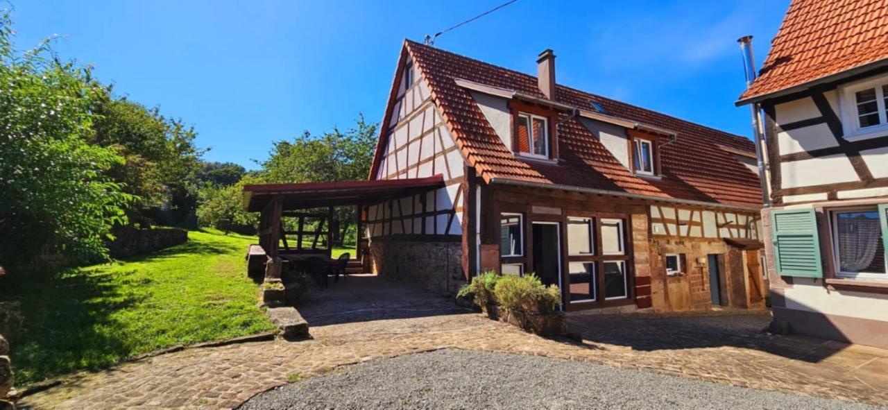 Corps De Ferme Traditionnel Lembach Exteriér fotografie